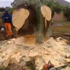 Stump Removal Image